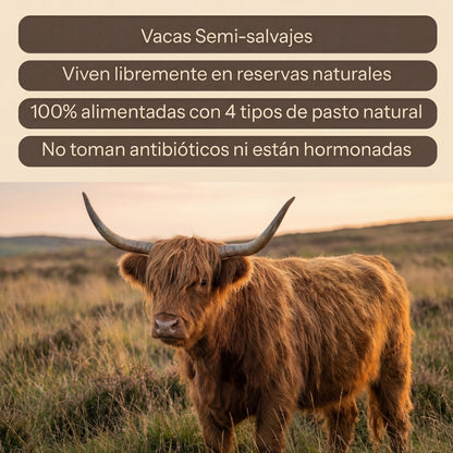 Sebo de Res de Pasto 100% Orgánico - ArveaNatura
